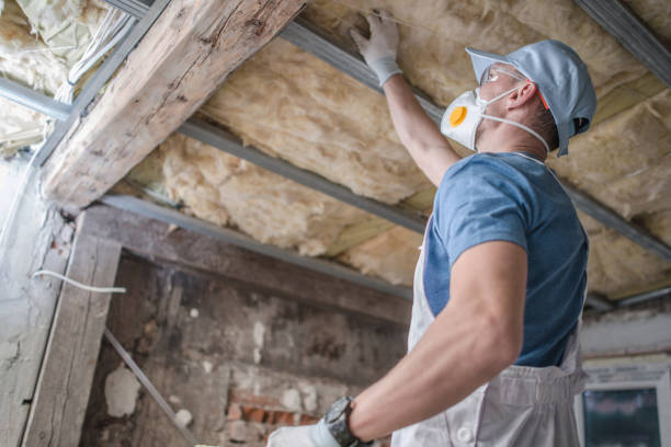 Best DIY Insulation Kits and Guidance in Lone Grove, OK
