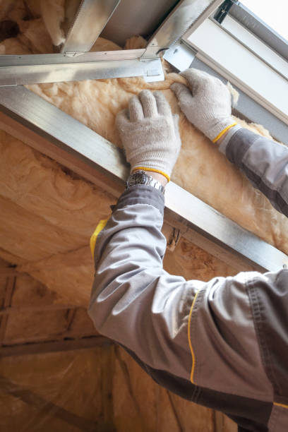 Best Specialized Insulation Services in Lone Grove, OK