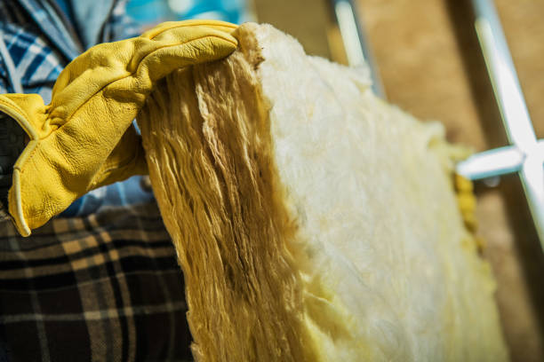 Best Eco-Friendly Insulation in Lone Grove, OK